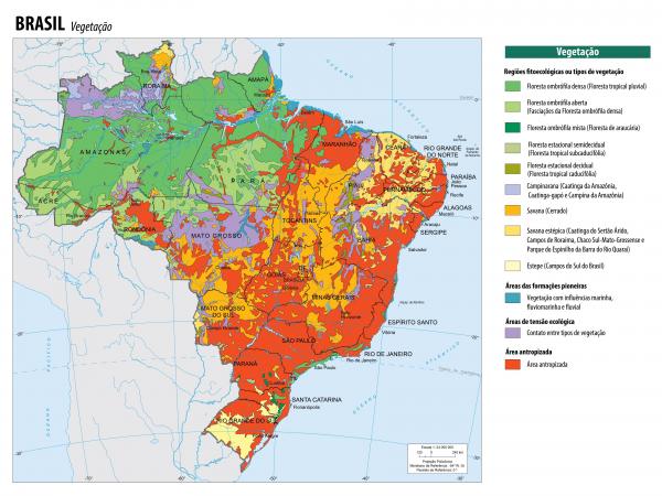 Pedagógiccos: Mapa do Brasil: vegetação