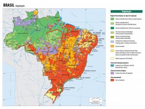 Mapa Escolar Brasil Vegetação  120 cm (comprimento) x 90 cm (altura)    